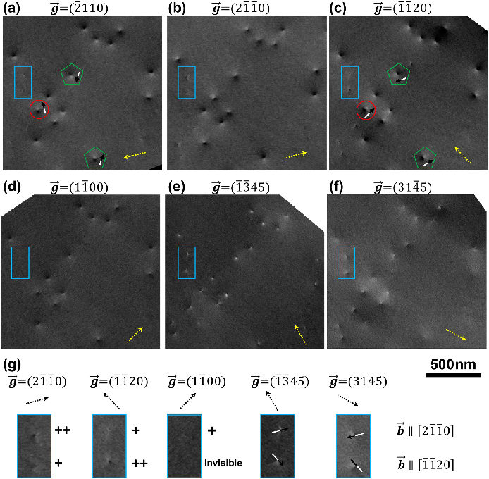 场发射奉贤扫描电镜